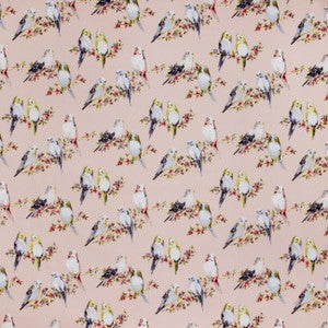 In Unison Blush by Carole Fabric