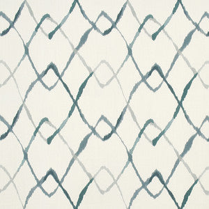 Stunning Speed Rain by Carole Fabric
