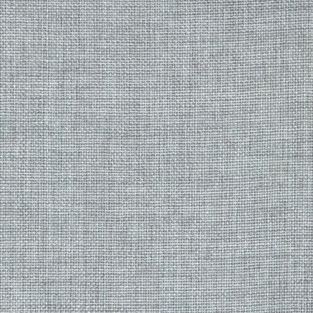 Director's Cut Powder by Carole Fabric Power Play 100% Polyester N/A None 55" - Fabric Carolina -