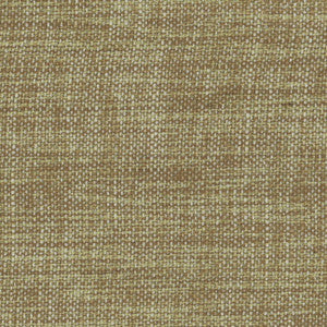 At Times Moss by Carole Fabric
