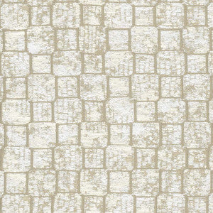 Power Block Stonewash by Carole Fabric