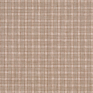 Newsworthy Acorn by Carole Fabric