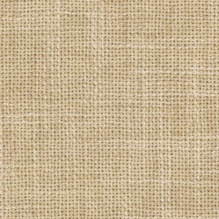 Stanbridge Sand by Carole Fabric Enterprise 100% Polyester India  None 54"  - Fabric Carolina -