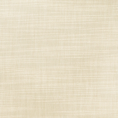 Athlete Cashew by Carole Designer Fabric Opal 60% Cotton, 40% Polyester India Passes 50,000 Double Rubs Wyzenbeek Horizontal: None and Vertical: None 55" - Swanky Fabrics -
