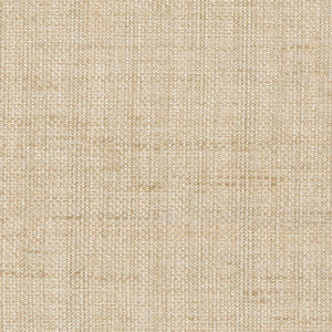 Breather Linen by Carole Fabric