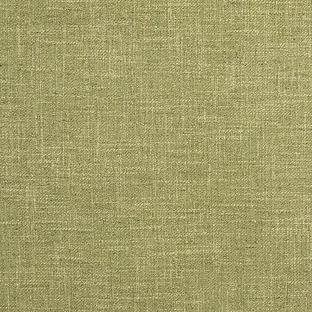 Astounding Apple by Carole Fabric Best Dressed 53% Cotton, 47% Polyester 15,000 Wyzenbeek Double Rubs None 54" - Fabric Carolina -