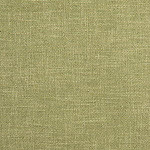 Astounding Apple by Carole Fabric