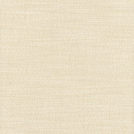 Say Yes Twilight by Carole Designer Fabric WINNER'S CIRCLE 78% Polyester, 22% Viscose India N/A Horizontal: None and Vertical: None 55" - Swanky Fabrics -