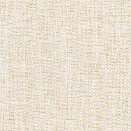 Fall Point Linen by Carole Fabric On POint 43% Polyester, 19% Linen, 19% Cotton, 19% Rayon INDIA  None 54"  - Fabric Carolina -