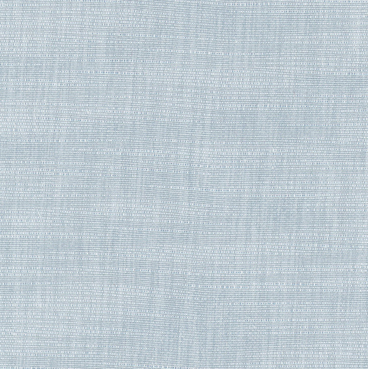 Athlete Cloud by Carole Fabric Cadet 60% Cotton, 40% Polyester India Passes 50,000 Double Rubs Wyzenbeek Horizontal: 0 and Vertical: 0 55 - Fabric Carolina -