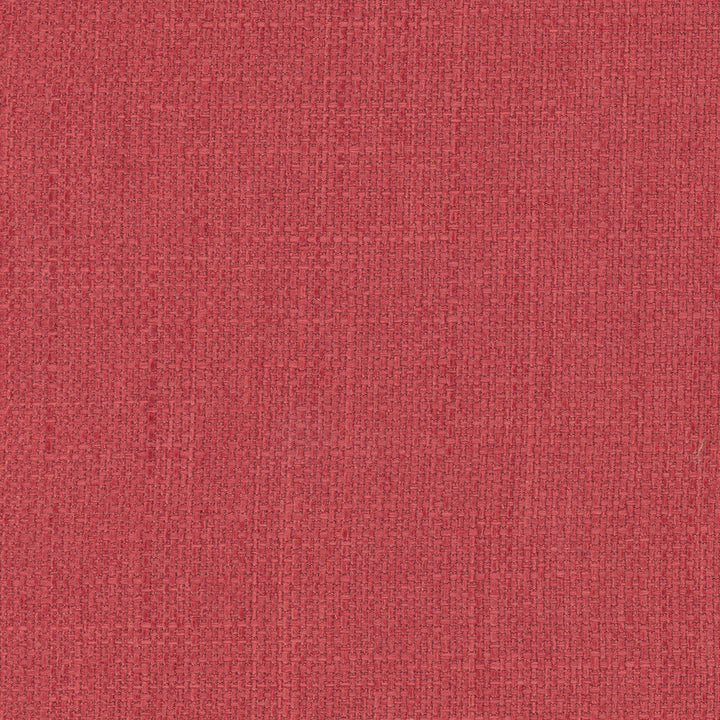 Commencement Fruit Punch by Carole Designer Fabric Commencement 100% Polyester-SSWR, Anti-Microbial Taiwan 50,000 Wyzenbeek Double Rubs Horizontal: 0 and Vertical: 0 56 - Swanky Fabrics -