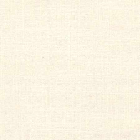 Sidewalk Pearl by Carole Fabric Abode 100% Polyester India 100,000 Wyzenbeek Double Rubs None 54"  - Fabric Carolina -
