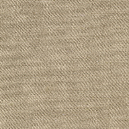 Regal Touch Walnut by Carole Fabric Touch Of Luxury 100% Polyester Turkey 15,000 Wyzenbeek Double Rubs </p><p>Repeat: None 55" - Fabric Carolina -