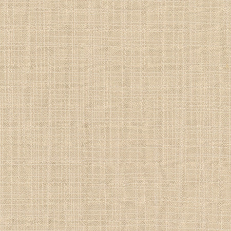 Lets Be Real Cream by Carole Fabric See It Through 100% Recycled Polyester India 50,000 Wyzenbeek Double Rubs None 54"  - Fabric Carolina -