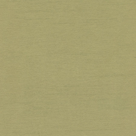 Bassco Sage by Carole Fabric With Grace 100% Polyester China N/A None 58"  - Fabric Carolina -