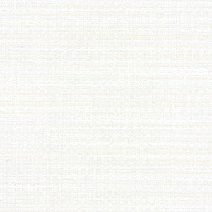 Endurance Bisque by Carole Fabric