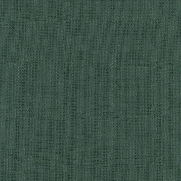 Narration Jardin by Carole Fabric Narrator 100% Polyester Mexico Passes 30,000 Double Rubs Wyzenbeek Horizontal: 0 and Vertical: 0 54 - Fabric Carolina -