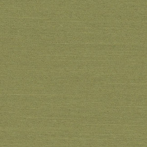 Distinct II Sage by Carole Fabric