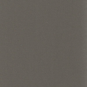 Daydreamer Gunmetal by Carole Fabric