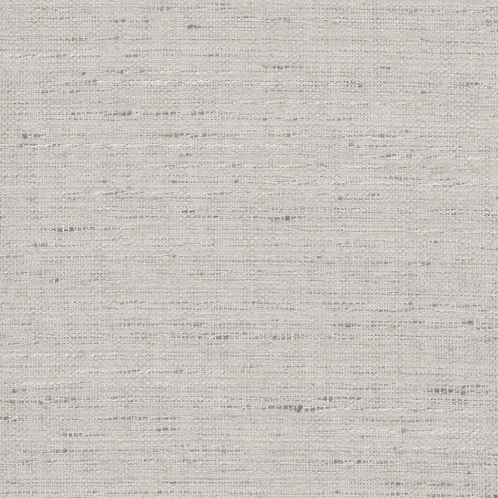 Foreseeable Platinum by Carole Fabric Pewter 100% Polyester India N/A Horizontal: 0 and Vertical: 0 54 - Fabric Carolina -