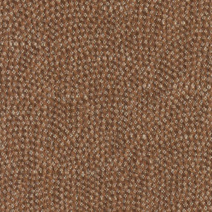 Fonzie Safari by Carole Fabric