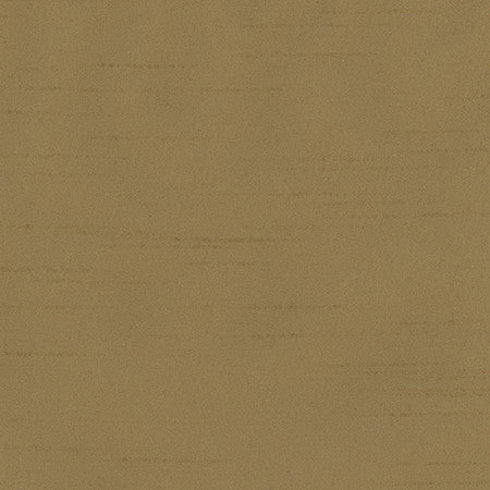 Bane Brown Sugar by Carole Fabric With Grace 100% Polyester Hybrid FR Mexico 30,000 WYZENBEEK DOUBLE RUBS None 54"  - Fabric Carolina -