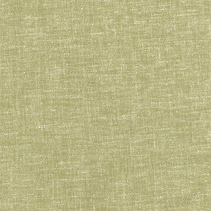Aspire To Fern by Carole Fabric