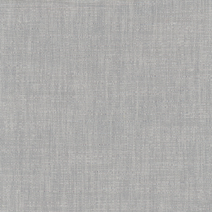 Athlete Concrete by Carole Fabric Pewter 60% Cotton, 40% Polyester India Passes 50,000 Double Rubs Wyzenbeek Horizontal: 0 and Vertical: 0 55 - Fabric Carolina -