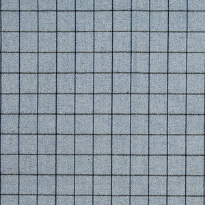 Divided Space Denim by Carole Fabric