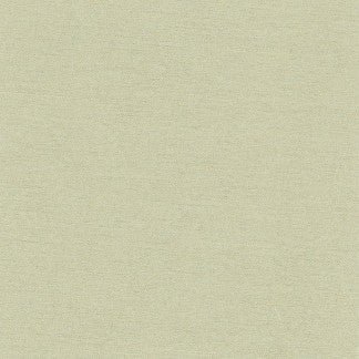 Northwind Celadon by Carole Fabric New Northwind Iii 100% Polyester India Passes 9,000 Double Rubs Wyznebeek Horizontal: None and Vertical: None 54" - Fabric Carolina -