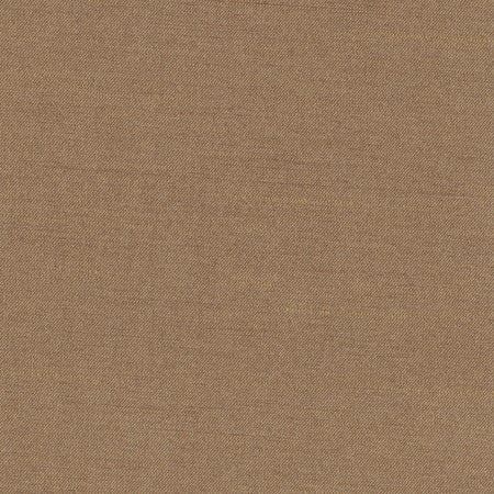 Northwind Earth by Carole Fabric New Northwind III,New Northwind IV,New Northwind IV,Northwind V 100% Polyester India  None 54"  - Fabric Carolina -