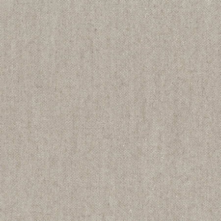 Freshman Charcoal by Carole Fabric Dove Wing 100% Polyester INDIA  None 54"  - Fabric Carolina -