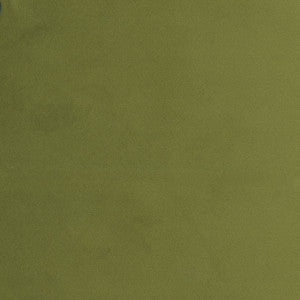 Plush Touch Avocado by Carole Fabric
