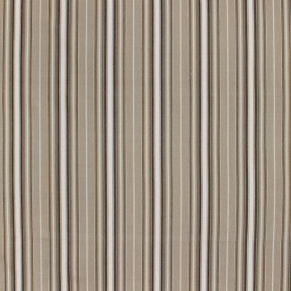 Rehearsal Oyster by Carole Fabric In Tune 100% Cotton India N/A Horizontal: 0" and Vertical: 6 3/4" H 54" - Fabric Carolina -
