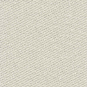 Reminder Cement by Carole Fabric