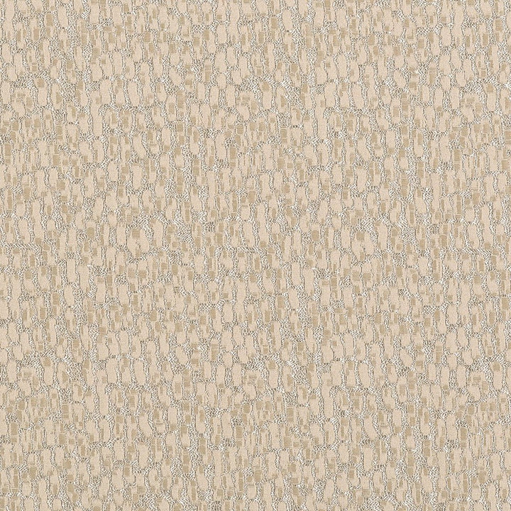 Stamina Eggshell by Carole Designer Fabric Magic Hour,Modern Edge 100% Polyester India Passes 25,000 Double Rubs Wyzenbeek Horizontal: None and Vertical: None 55" - Swanky Fabrics -