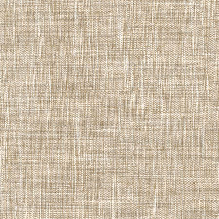 Obligation Flax by Carole Fabric Toasted Almond 84% Polyester, 16% Cotton INDIA N/A None 54"  - Fabric Carolina -