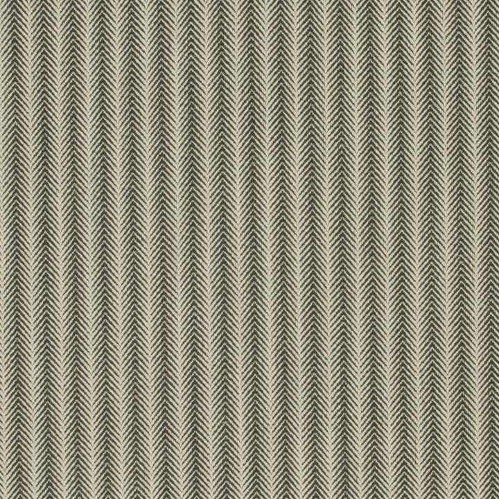 Citiscape Charcoal by Carole Designer Fabric Park Cities 100% Polyester China Passes 15,000 Double Rubs Wyzenbeek Horizontal: 1 and Vertical: 25 56 - Swanky Fabrics -