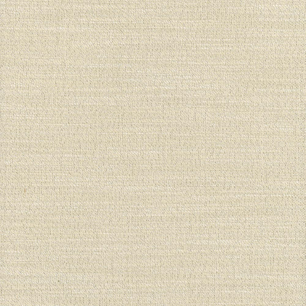 Say Yes Glint by Carole Fabric Winner'S Circle 78% Polyester, 22% Viscose India N/A Horizontal: 0 and Vertical: 0 55 - Fabric Carolina -