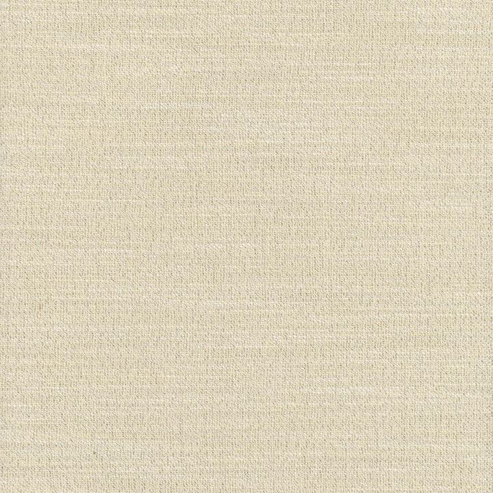 Say Yes Glint by Carole Fabric Winner'S Circle 78% Polyester, 22% Viscose India N/A Horizontal: 0 and Vertical: 0 55 - Fabric Carolina -