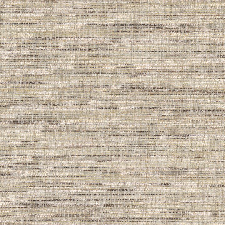 Key To Comfort Tussah by Carole Fabric For The Window 100% Polyester India N/A Horizontal: 0 and Vertical: 0 54 - Fabric Carolina -