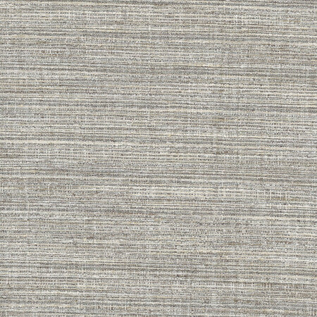 Gear Up Ash by Carole Designer Fabric Pewter 100% Polyester India Passes 30,000 Double Rubs Wyzenbeek Horizontal: None and Vertical: None 5475" - Swanky Fabrics -