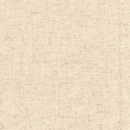 SHERIFF BEACH by Carole Designer Fabric Arlyn,Toasted Almond 36% COTTON, 30% POLYESTER, 17% VISCOSE, 17% LINEN INDIA Passes 30,000 Double Rubs Wyzenbeek NONE 54" - Swanky Fabrics -