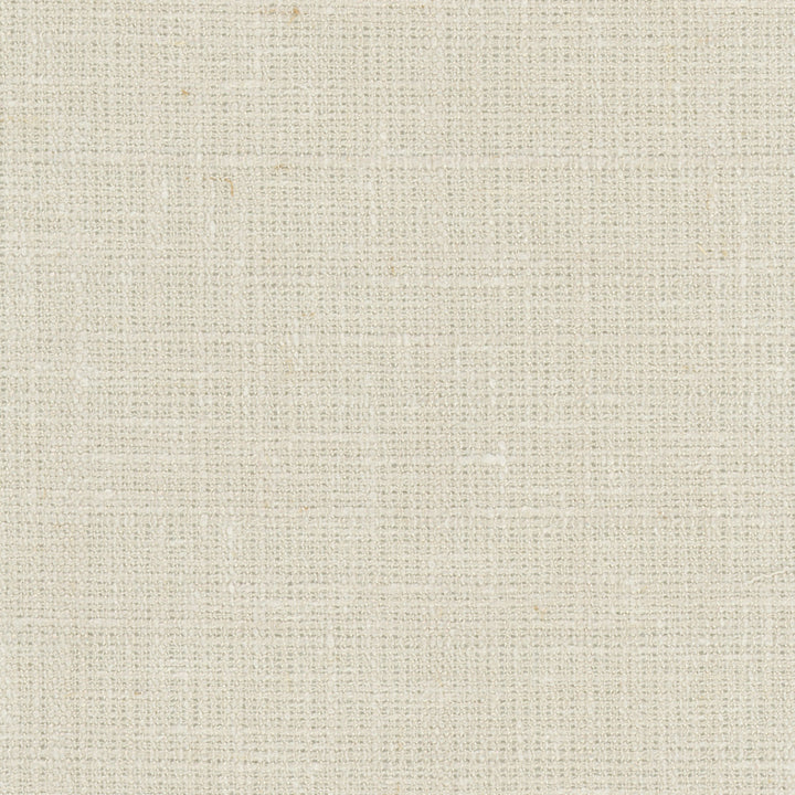 Inner Child Parchment by Carole Fabric Opal 66% Polyester, 21% Cotton, 13% Linen India Passes 15,000 Double Rubs Wyzenbeek Horizontal: 0 and Vertical: 0 54 - Fabric Carolina -