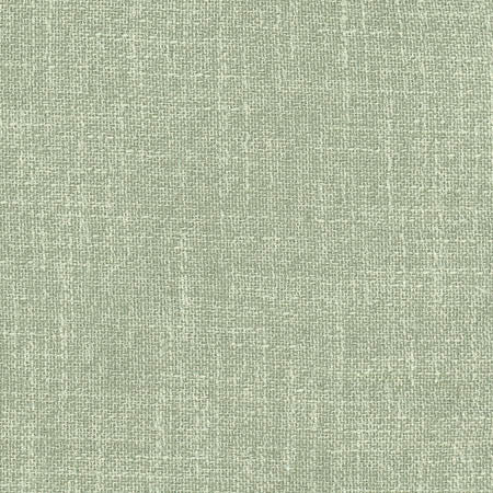 Enthusiasm Mint by Carole Fabric Laguna 100% Polyester INDIA  None 54"  - Fabric Carolina -