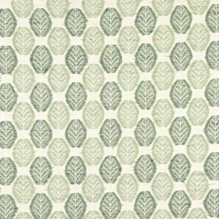 <p>Excess Energy Celadon by Carole Fabric</p><p><strong>Required Minimum Quantity Purchase: 2 yards</strong></p><p>Book: Moodscapes</p><p>Content: 57% Polyester, 43% Cotton</p><p>Origin: </p><p>Performance: 30,000 Wyzenbeek Double Rubs</p><p>Repeat: 3 3/4" V, 3 3/8" H HD</p><p>Width: 55""</p>
