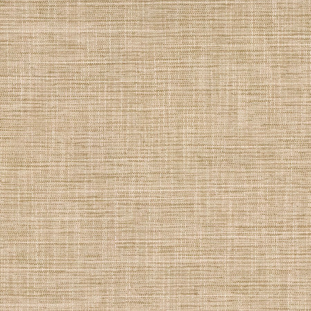 Big Thinker Toast by Carole Designer Fabric Power Play 100% Polyester N/A None 55" - Swanky Fabrics -