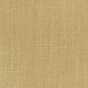 Resolve Harvest by Carole Fabric