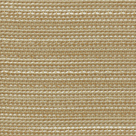 Forestall Biscotti by Carole Fabric Synchrony 100% Polyester Mexico 30,000 Wyzenbeek Double Rubs None 58"  - Fabric Carolina -