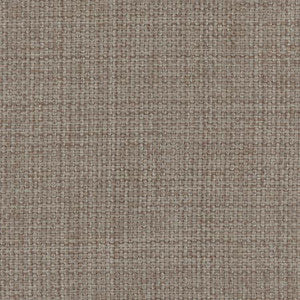 Director's Cut Dolphin by Carole Fabric